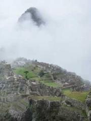 Cold-hearted Inkapos