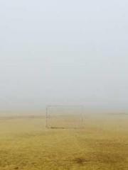 Li Qingqing and Zhao