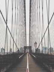 Double Blessing: CEO