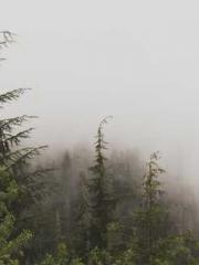 Fast Travel: The Big