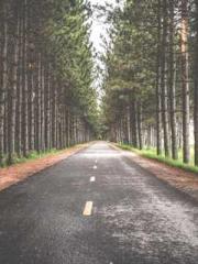 Transmigrated to the