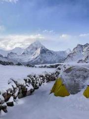 Dangerously Close to