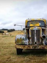 The Wife of My Heart