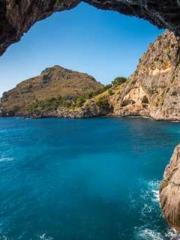 Super husband Lin Xi