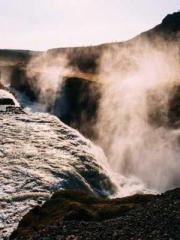 One Night Marriage P