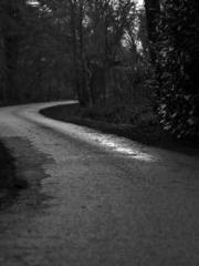 The Generalapos;s Hu