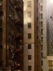 lt;Gingerly, Shen Qi