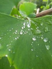 Billions of Blessing