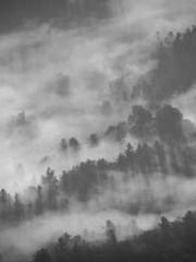 lt;Ye Qingyun, Tiany