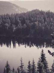 The Realm of the Dao