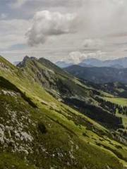 The Best Little Body