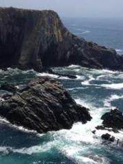 The Imperial Concubi