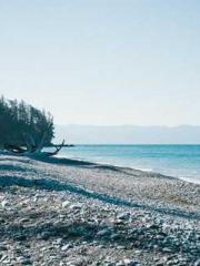 The Realm of the Dao