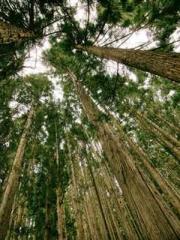 Do not deprive me of