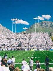 On our wedding night