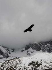 The young masterapos