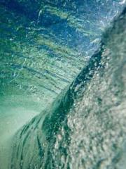 Retired War God Yang