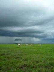 My Amazing Female Te