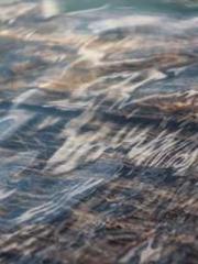 The Ugly Womanapos;s