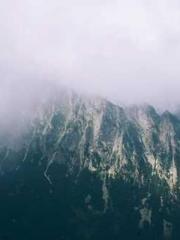 lt;Mr. Bao, Mrs. Bao