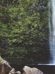 The Realm of the Dao