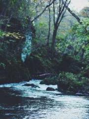 Wine, sex, money and