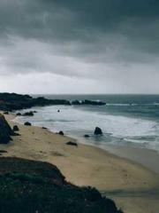 Lu Zongapos;s Hidden