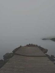 lt;Marry at first si