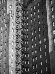 The Wife of My Heart