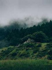 Ling Hao Qin Yuxin R