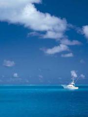 lt;Liang Yimo Cold N