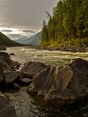 Eternal Sword Ancest