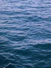 Saintly Gate Venerab