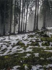 Spoil you in my arms