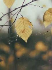 A Wifeapos;s Plea fo