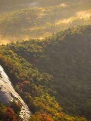 Wang Xuan Mu Qingyue